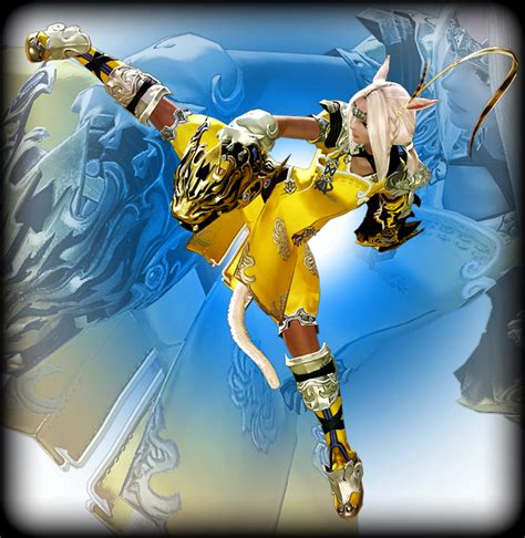 what martial arts are monks in ff14 inspired by
